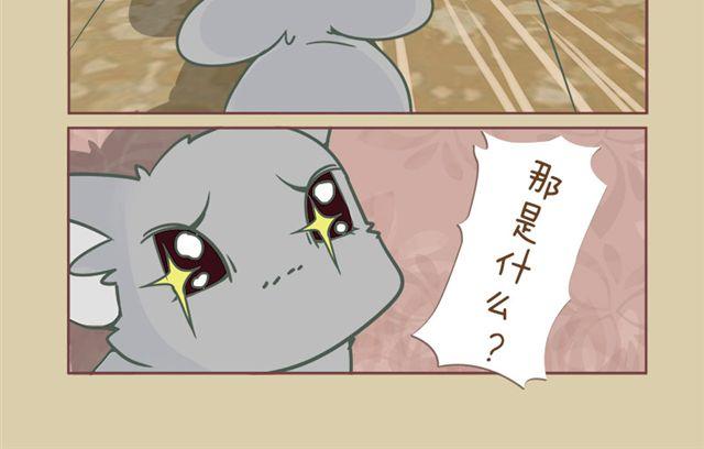 我家龙猫为什么看到我就跑漫画,第6话 寻宝小能手2图