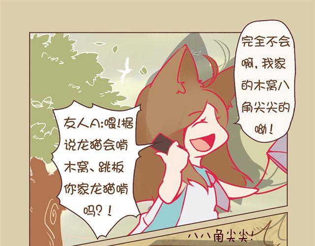 我家龙猫二三事作者漫画,第7话 啃啃啃1图