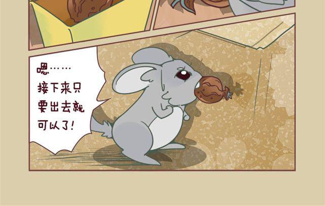 我家龙猫为什么看到我就跑漫画,第6话 寻宝小能手2图