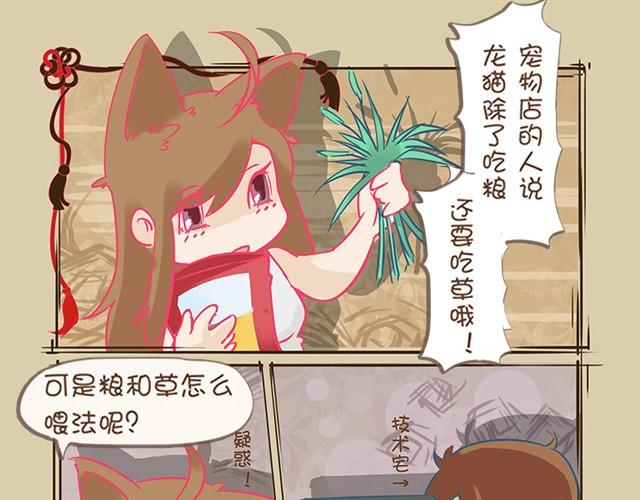 我家龙猫二三事漫画,第3话 均衡饮食1图