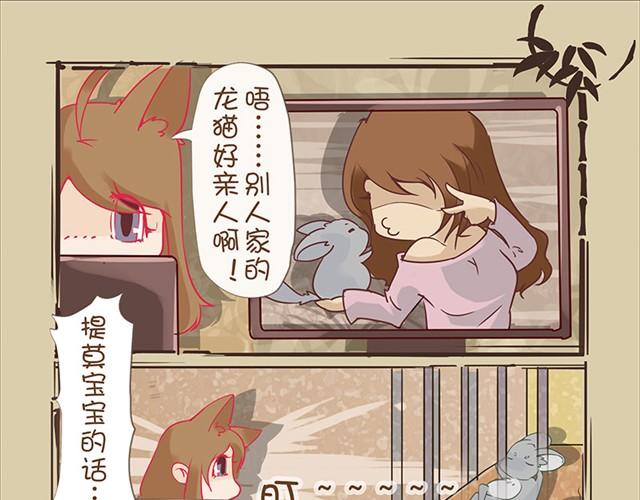 我家龙猫为什么看到我就跑漫画,第4话 口袋龙猫1图