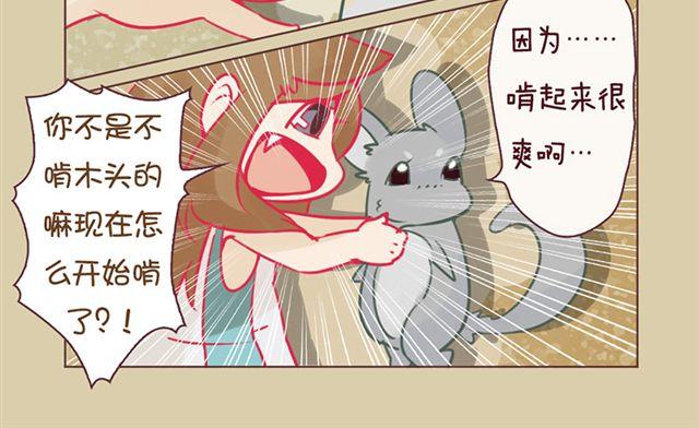 我家龙猫二三事作者漫画,第7话 啃啃啃2图