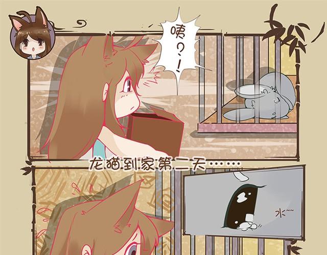 我家龙猫不说话完整版漫画,第2话 水壶君之殇1图