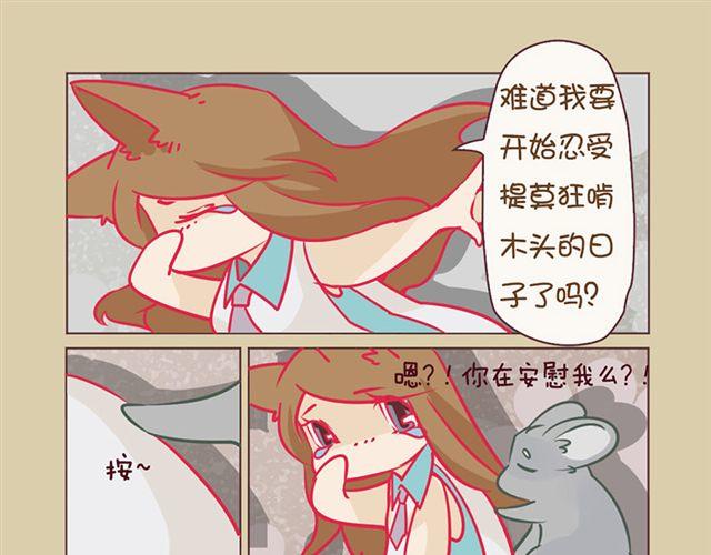 我家龙猫二三事作者漫画,第7话 啃啃啃1图