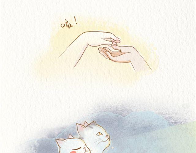 喵星侣日记漫画,平凡的浪漫2图