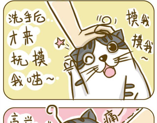 喵小萌餐饮加盟漫画,别碰我的呆毛2图