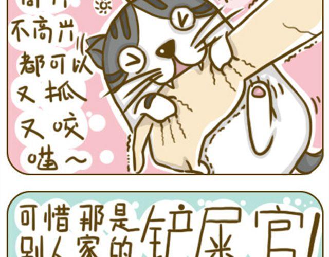 喵小萌餐饮加盟漫画,别碰我的呆毛1图