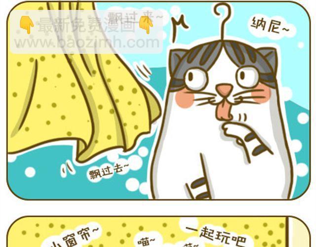 喵小萌软件库漫画,喵生大事2图