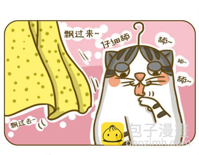 喵小萌软件库漫画,喵生大事1图