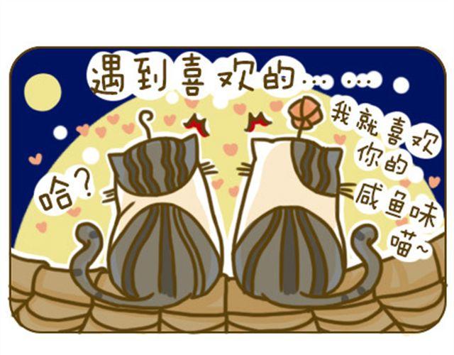 喵小萌是什么漫画,别碰我的呆毛1图