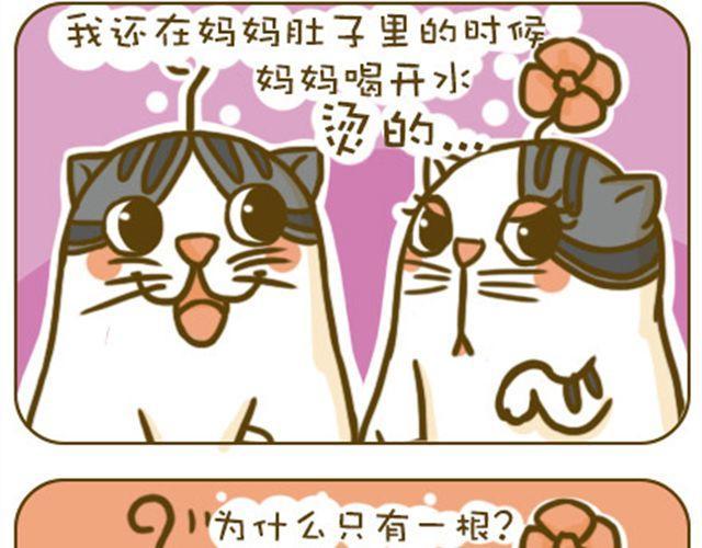 喵小苗-不萌也一脸血漫画,静静2图