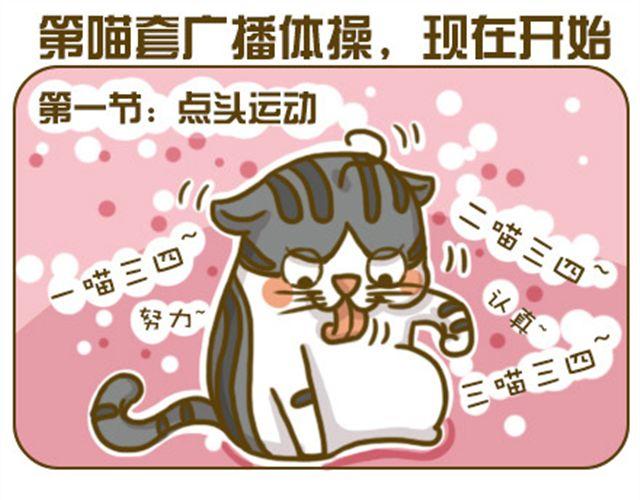 喵小萌是什么漫画,喵生大事1图