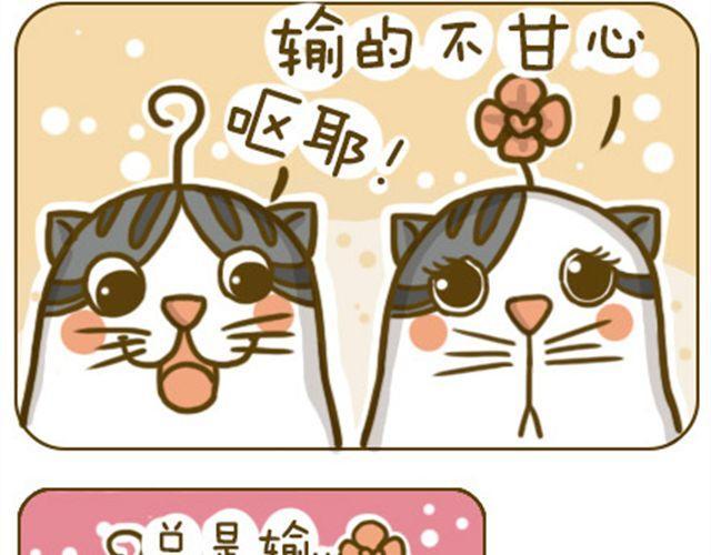 喵小萌是什么漫画,喵生大事2图