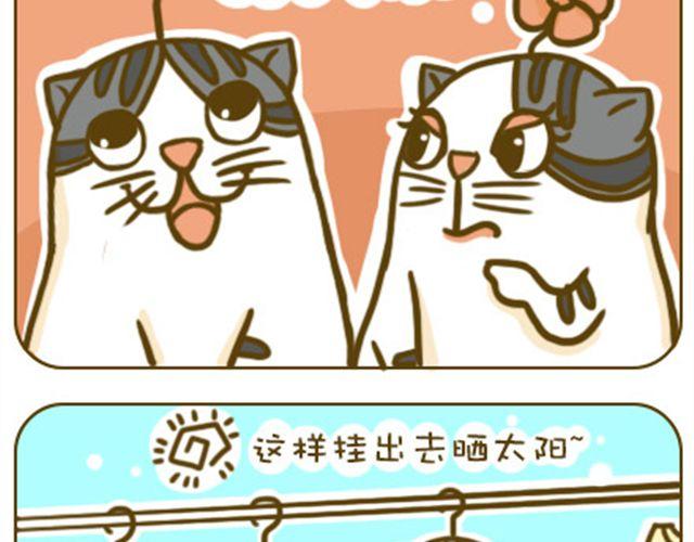 喵小萌软件库漫画,静静1图