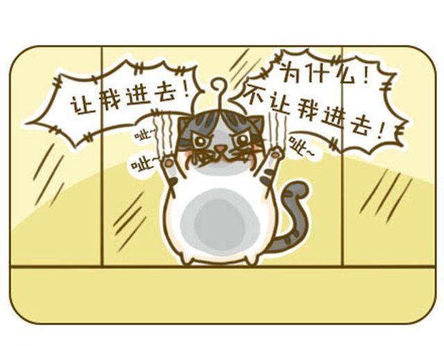 喵小萌是什么漫画,给点隐私1图