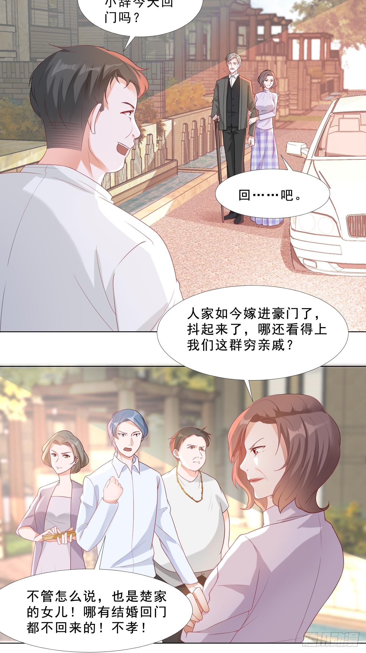 豪门盛宠全集完整版漫画,4-回门2图