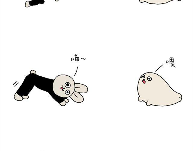 海豹漫画漫画,海豹漫画#3 我是一只猫1图