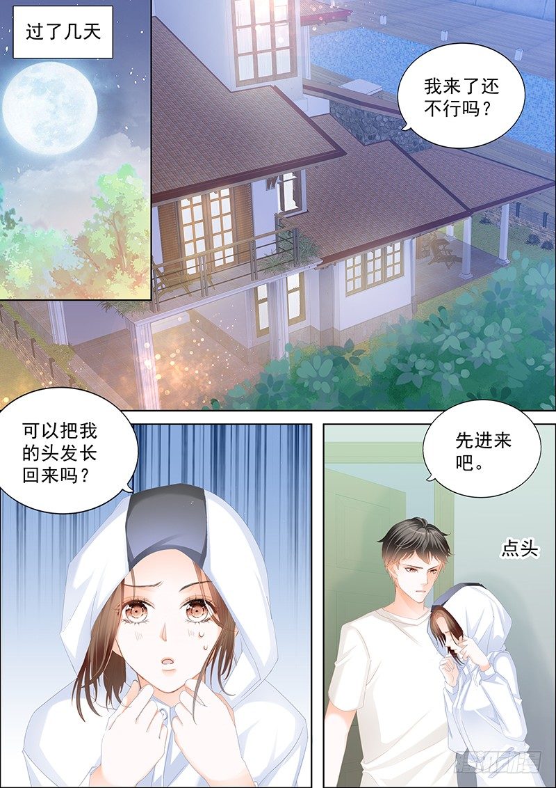 结爱·千岁大人的初恋 剧情漫画,第二十八回1图