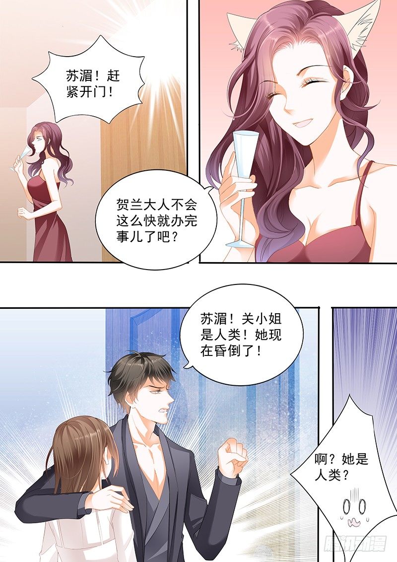 结爱·千岁大人的初恋 电视剧演员表漫画,第二十六回1图