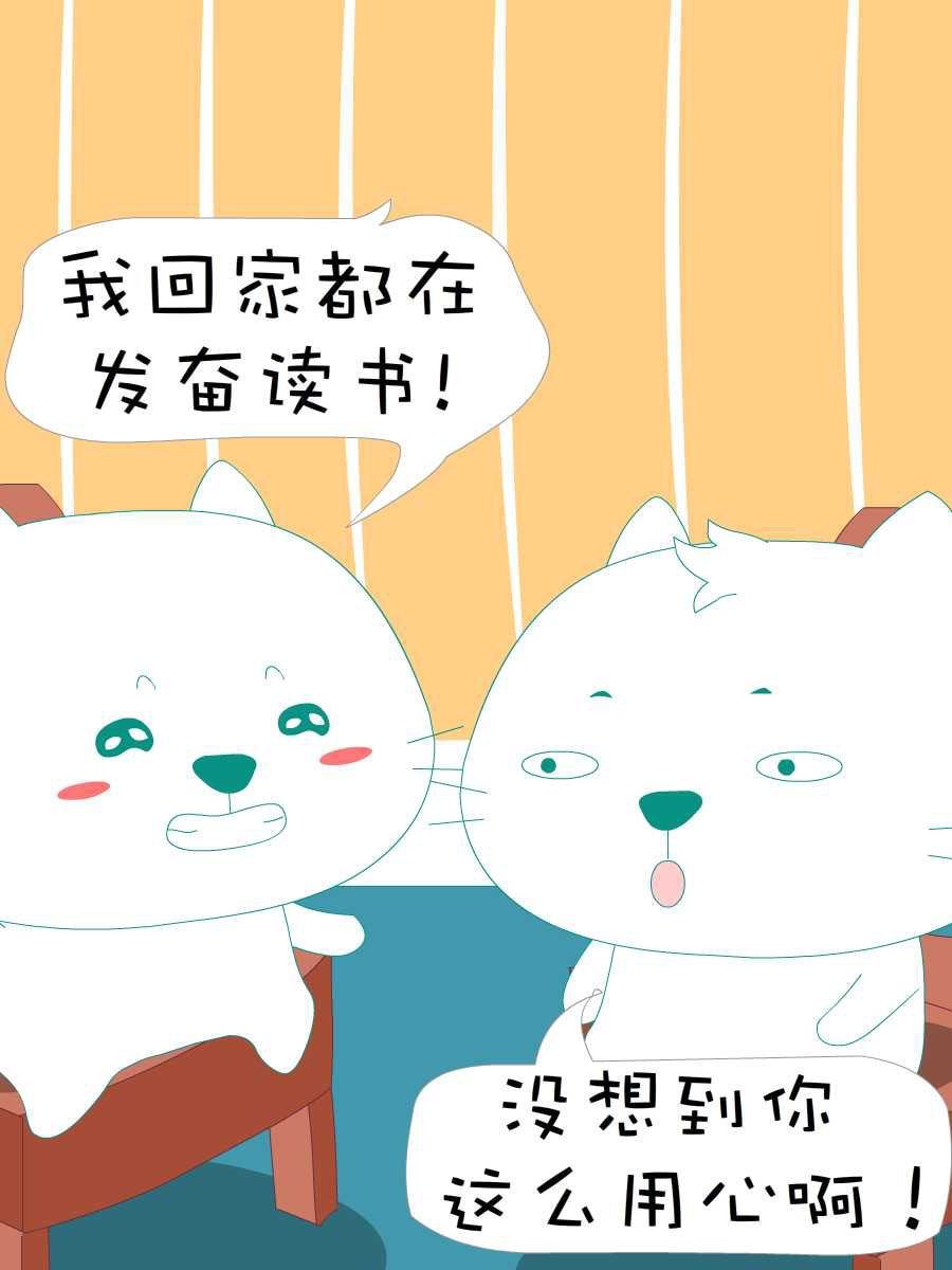 笨笨熊图片漫画,笨笨猫 第4集2图