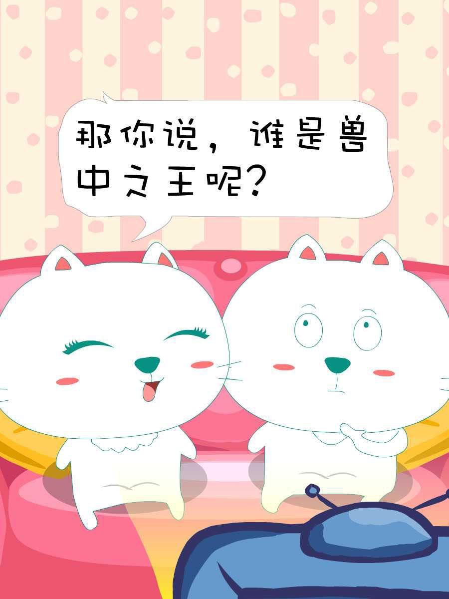 笨笨猪的故事漫画,笨笨猫 第1集1图