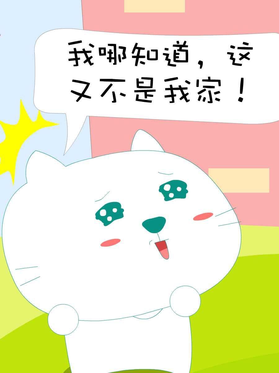 笨笨猫生态板多少钱一张漫画,笨笨猫 第8集1图