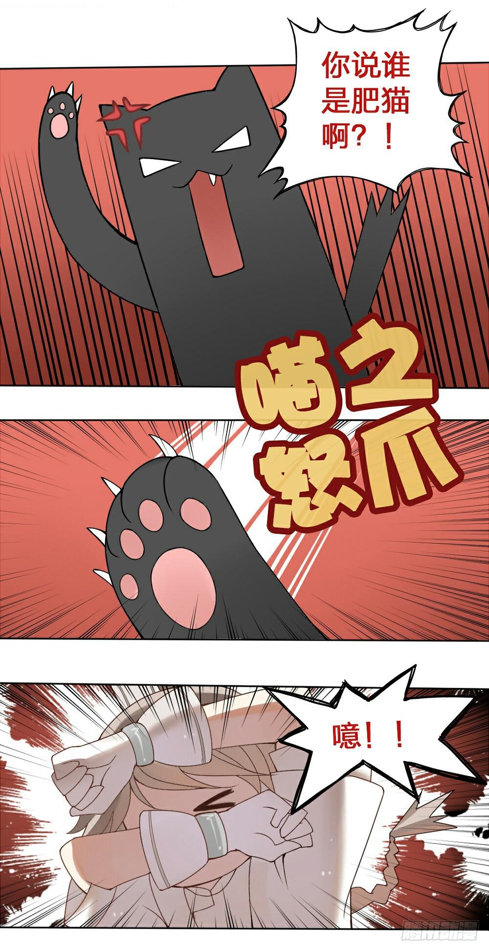 神兽的饲养方式漫画,黑猫白猫2图