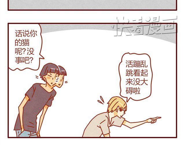 人形喵养成记漫画,第4话 到底是什么物种？2图