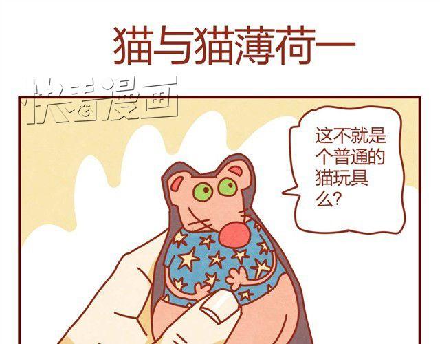 人形喵的养成漫画在线阅读漫画,第7话 果然，猫对这玩意没有抵抗力1图