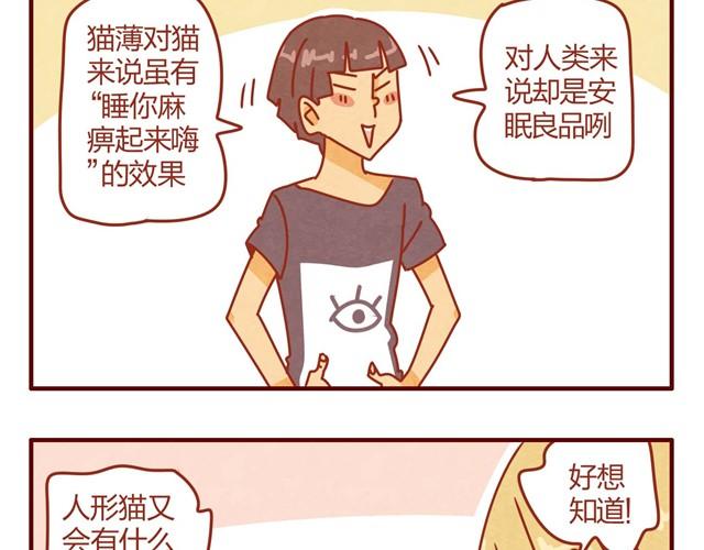 人形喵的养成漫画在线阅读漫画,第7话 果然，猫对这玩意没有抵抗力2图