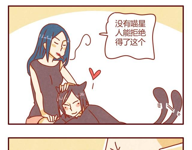 人形喵的养成动画漫画,第7话 果然，猫对这玩意没有抵抗力1图