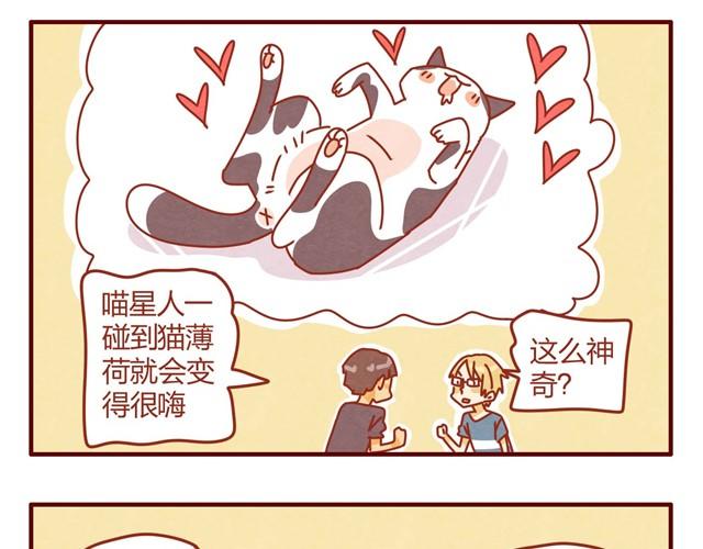 人形喵的养成漫画在线阅读漫画,第7话 果然，猫对这玩意没有抵抗力1图