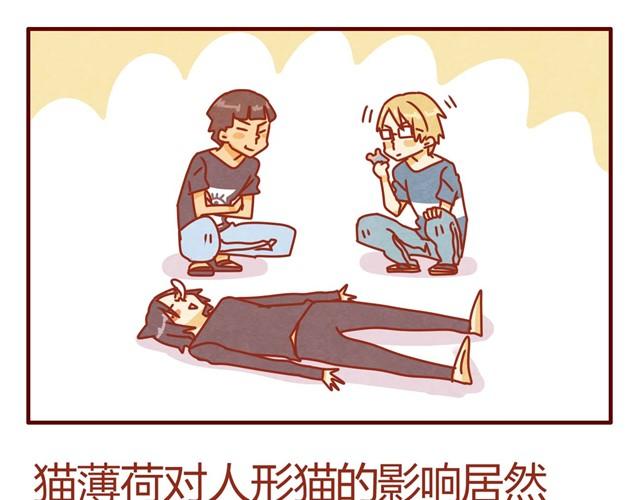 人形喵的养成 丸77漫画,第8话 最喜欢晒太阳了喵~1图