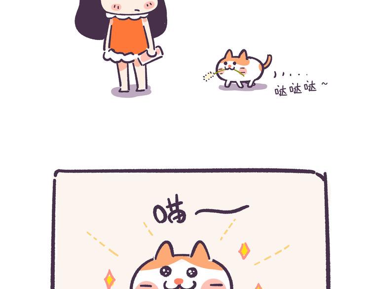 圣诞结吉他谱原版漫画,挑战好奇心大作战2图