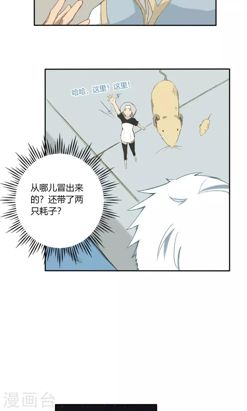 掌心宠小说全文免费阅读漫画,第17话1图