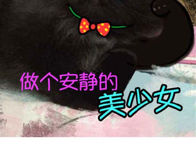 味精吃多了对人的危害漫画,一只喵的自拍2图