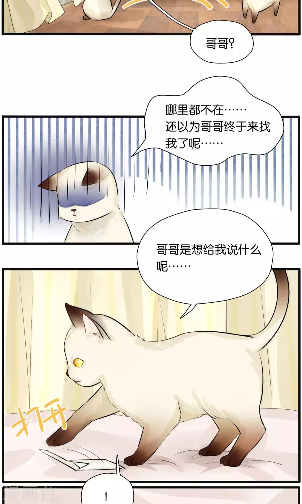 说了猫还没灭绝呢漫画,第27话1图