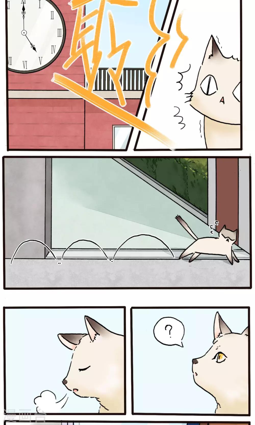 说了猫还没灭绝呢漫画,第1话1图