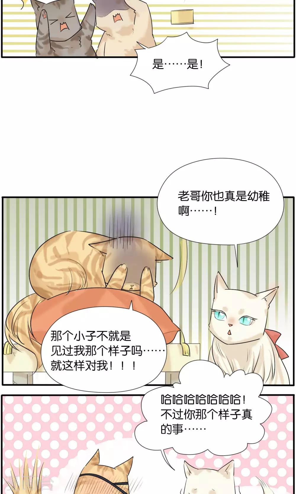 说了猫还没灭绝呢漫画,第36话2图