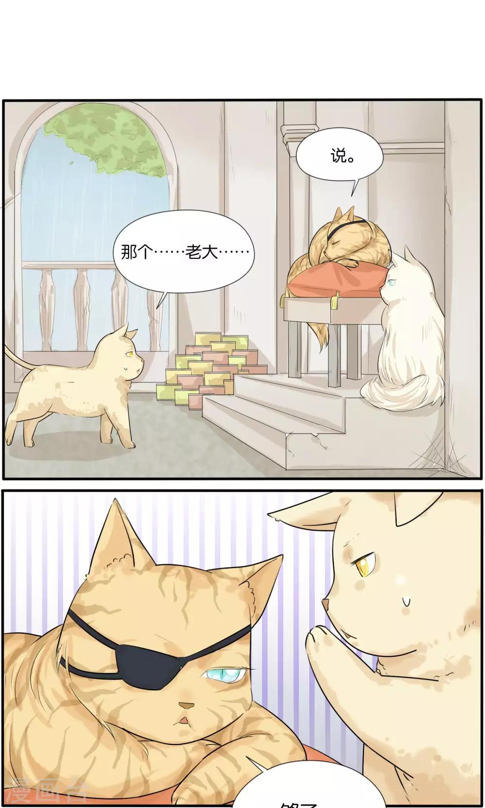 说了猫还没灭绝呢漫画,第36话1图