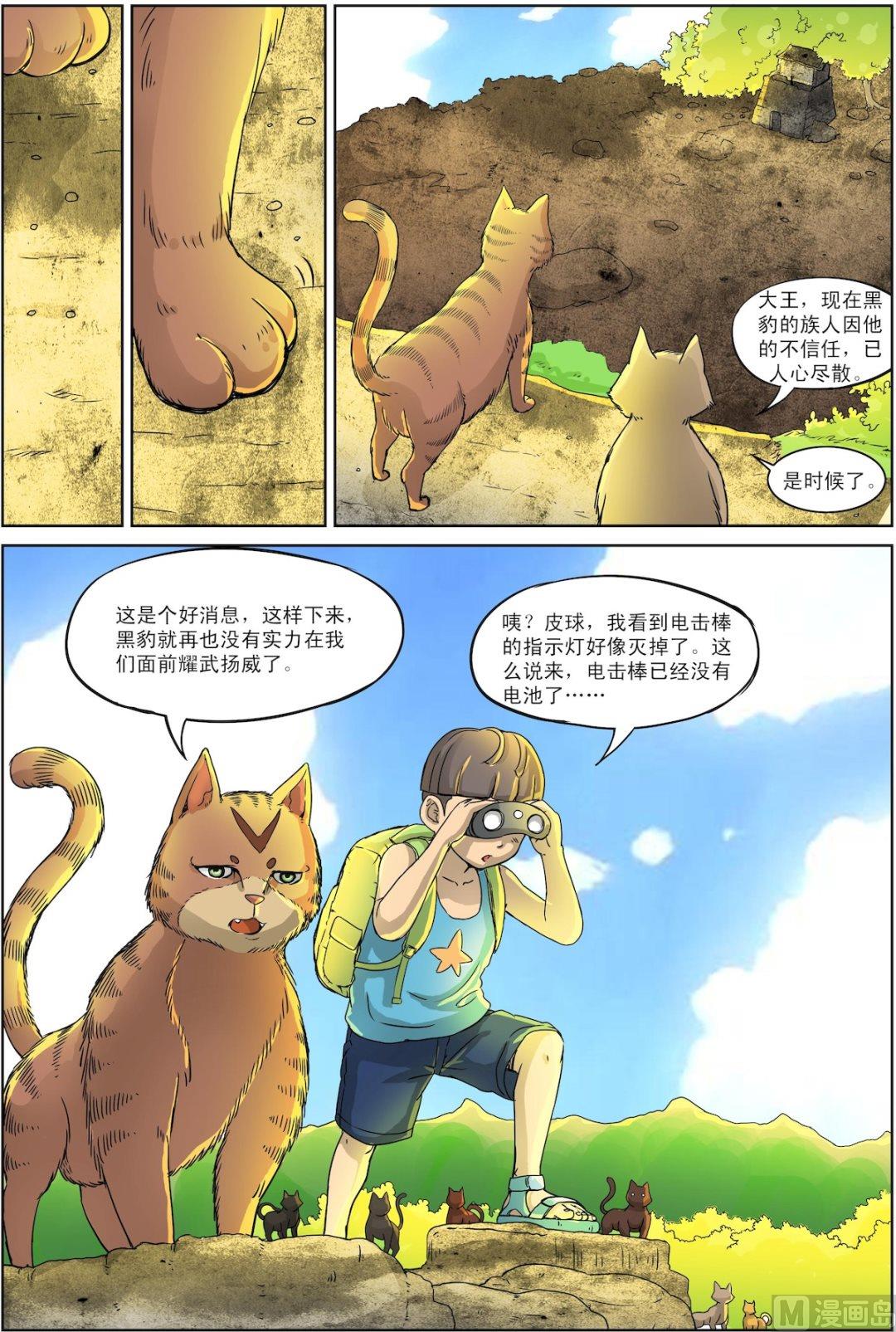 猫侠蝶漫画,第5话 中1图