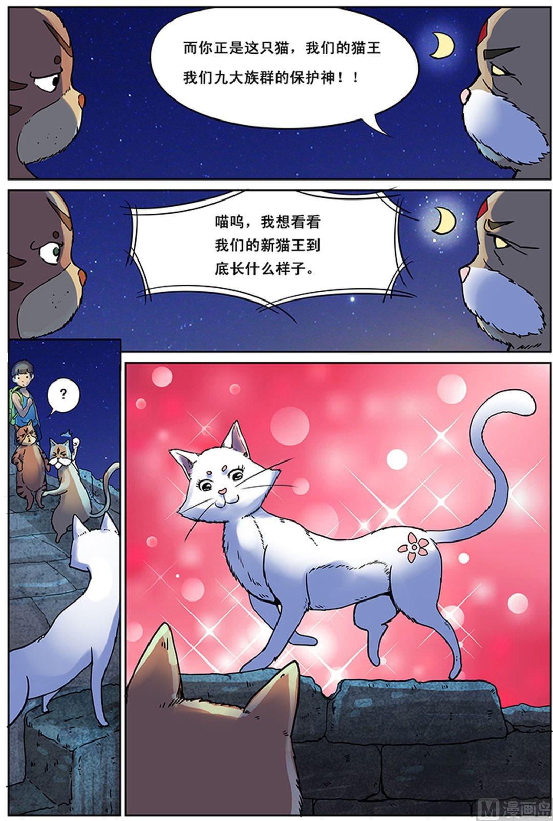 猫侠漫画,第3话 下1图