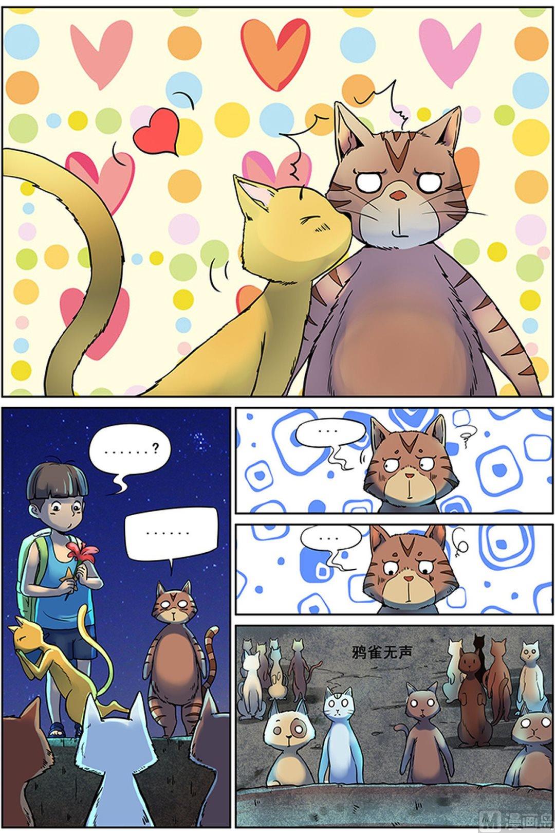 猫侠直播软件下载漫画,第3话 中1图