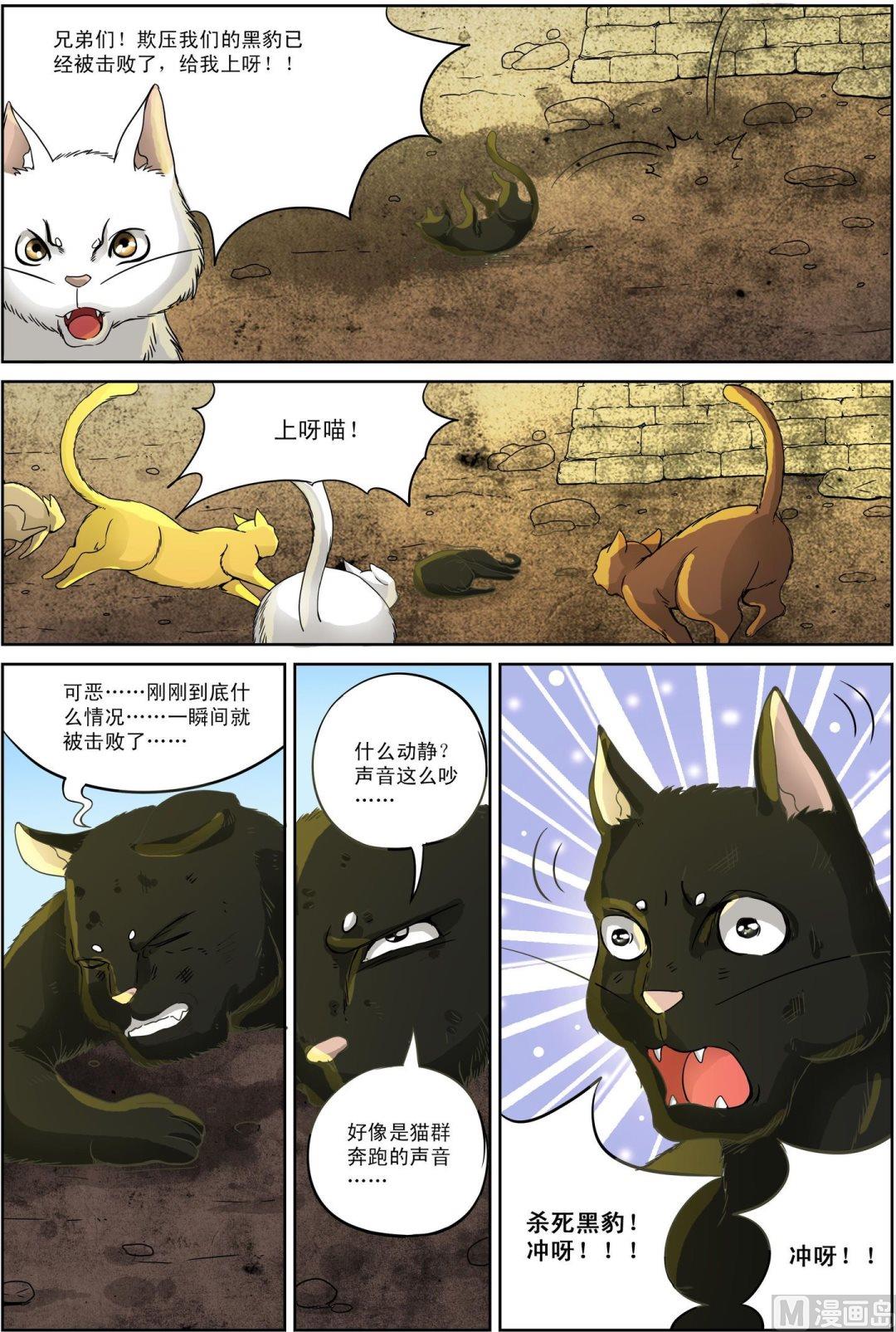 猫侠客头像漫画,第5话 下1图