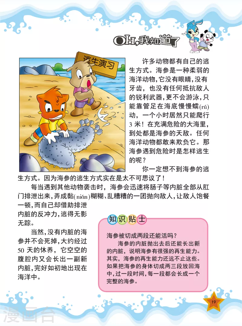 虹猫蓝兔十万个为什么之自然卷 下自然卷漫画,第3话2图