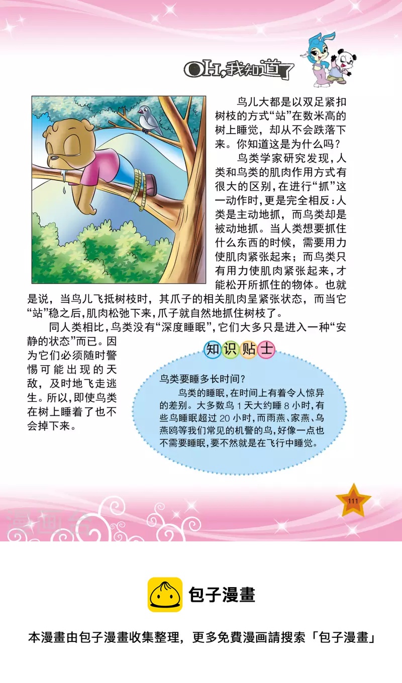 虹猫蓝兔一共有多少个系列漫画,第26话2图