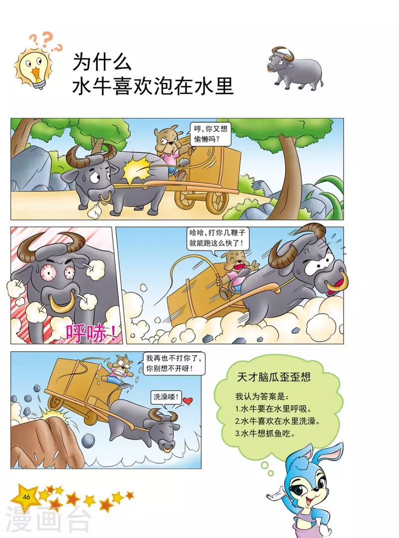 读虹猫蓝兔十万个为什么有感漫画,第10话1图