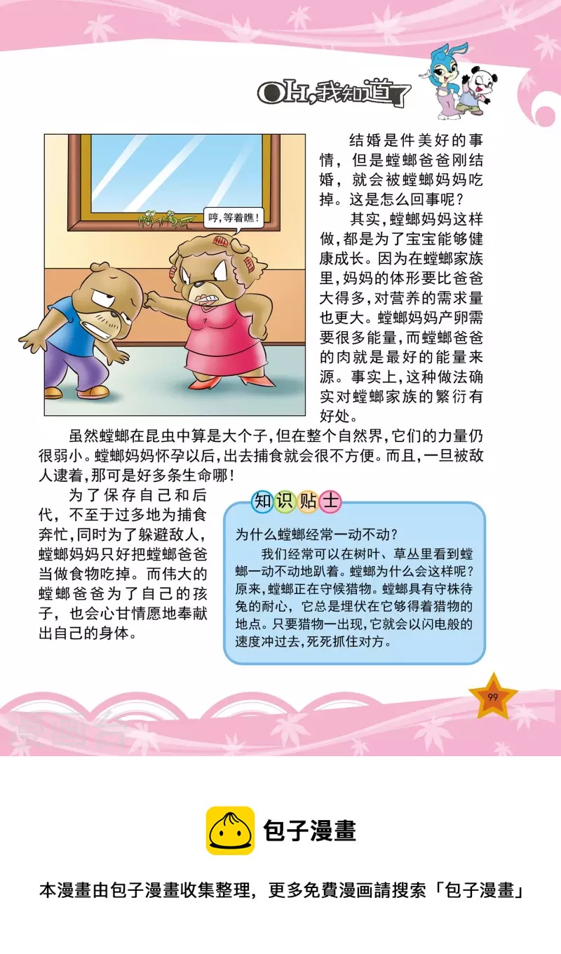 虹猫蓝兔十万个为什么之自然卷 下 动漫漫画,第23话2图