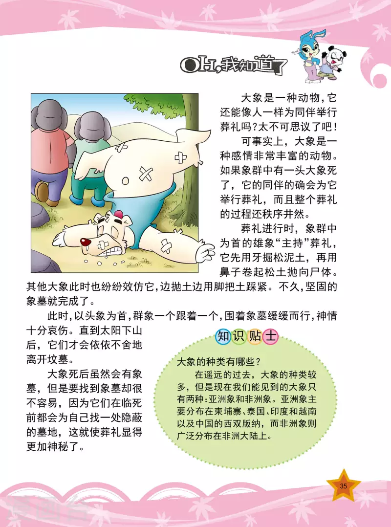 虹猫蓝兔十万个为什么之动物卷 上漫画,第7话2图