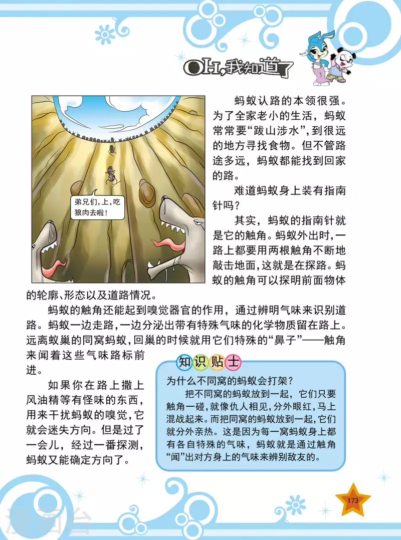 虹猫蓝兔七件的威力漫画,最终话2图